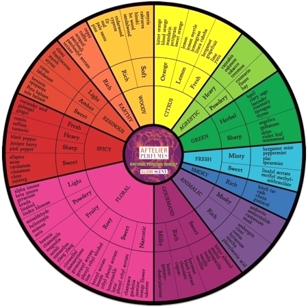Fragrance Wheel  How to Shop by Scent for Essential Oils You'll
